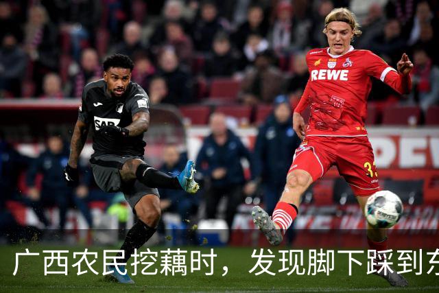 广西农民挖藕时，发现脚下踩到东西，众人合力将其挖出后全都傻眼